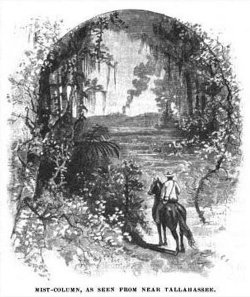 The phantom volcano of North Florida