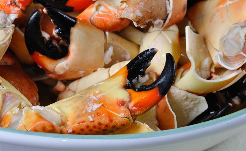 29th Annual Stone Crab Festival at Riverside Cafe