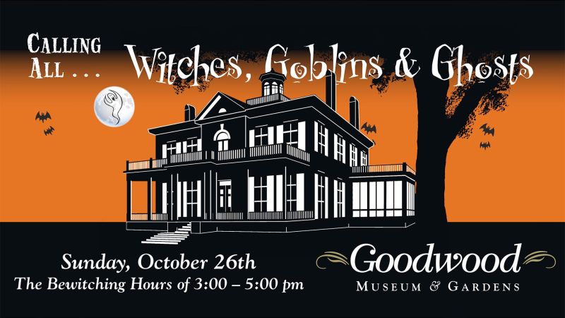 Owl-O-Ween: A Family Fun Day at Goodwood