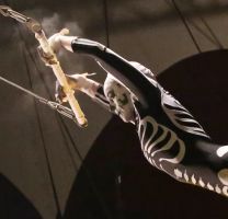 FSU Flying High Circus