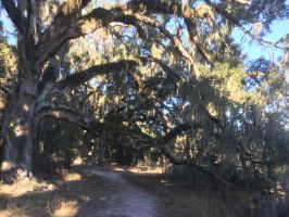 Lafayette Heritage Trail Park