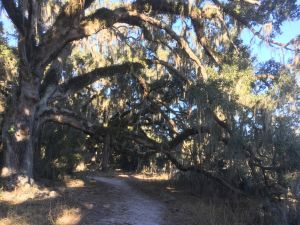 Lafayette Heritage Trail Park