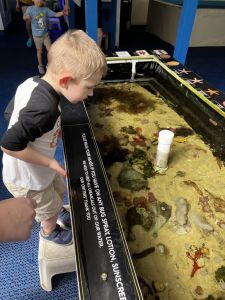 Gulf Specimen Aquarium