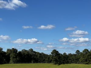 J. R. Alford Greenway