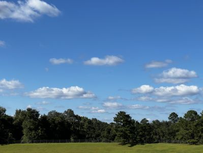 J. R. Alford Greenway