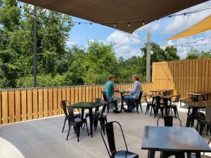 Ology Brewing Co - Northside