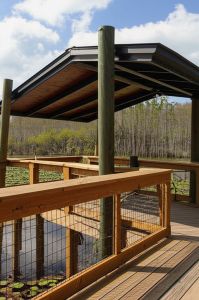 Debbie Lightsey Nature Park