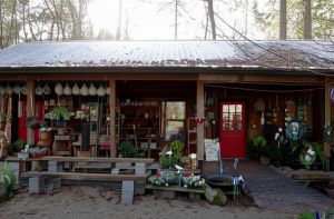 Native Nurseries