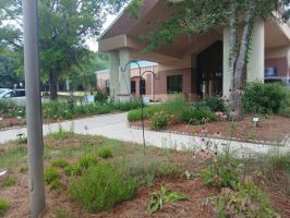 Bruce J. Host Northeast Branch Library